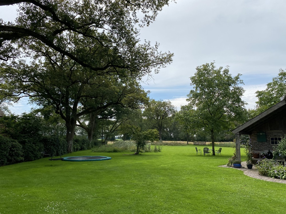 Uitzicht met trampoline